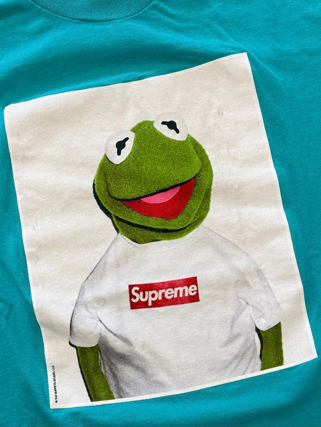 Supreme Teal Kermit Photo Tee 2008